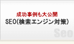 SEO(�����G���W���΍�)